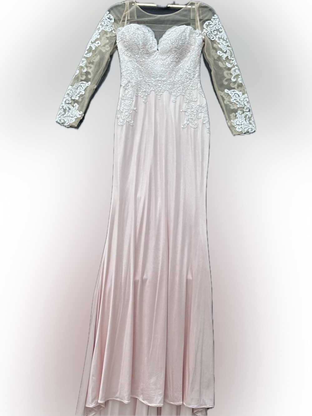 Vienna Prom Pale Pink Lace-Embellished Formal Gown size 2
